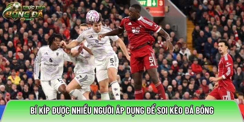 Bí kíp được nhiều người áp dụng để soi kèo đá bóng