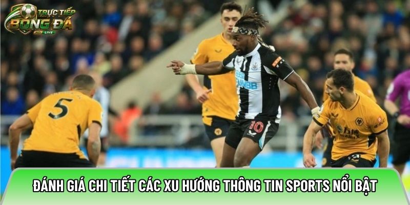 Đánh giá chi tiết các xu hướng thông tin sports nổi bật