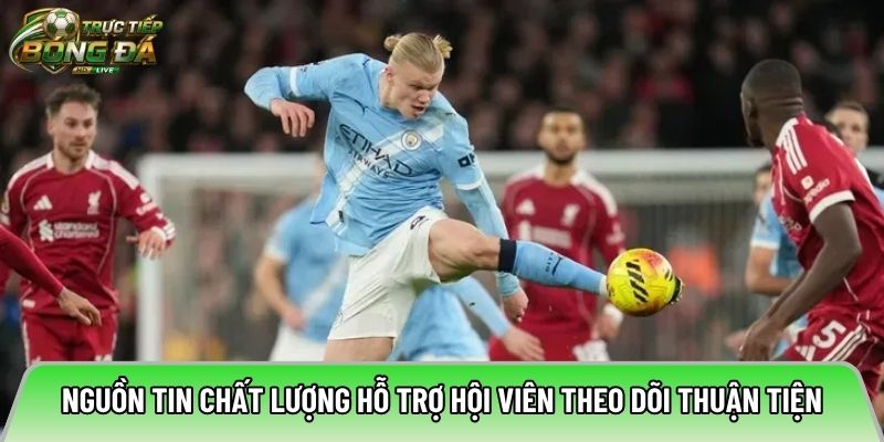 Nguồn tin chất lượng hỗ trợ hội viên theo dõi thuận tiện