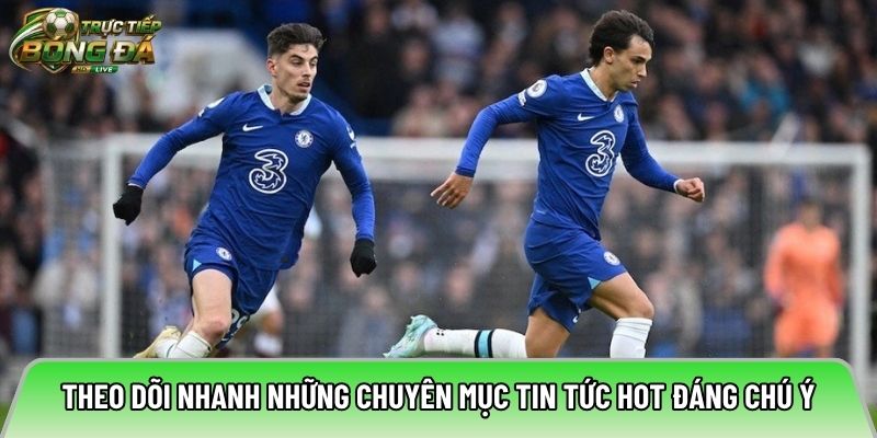 Theo dõi nhanh những chuyên mục tin tức hot đáng chú ý